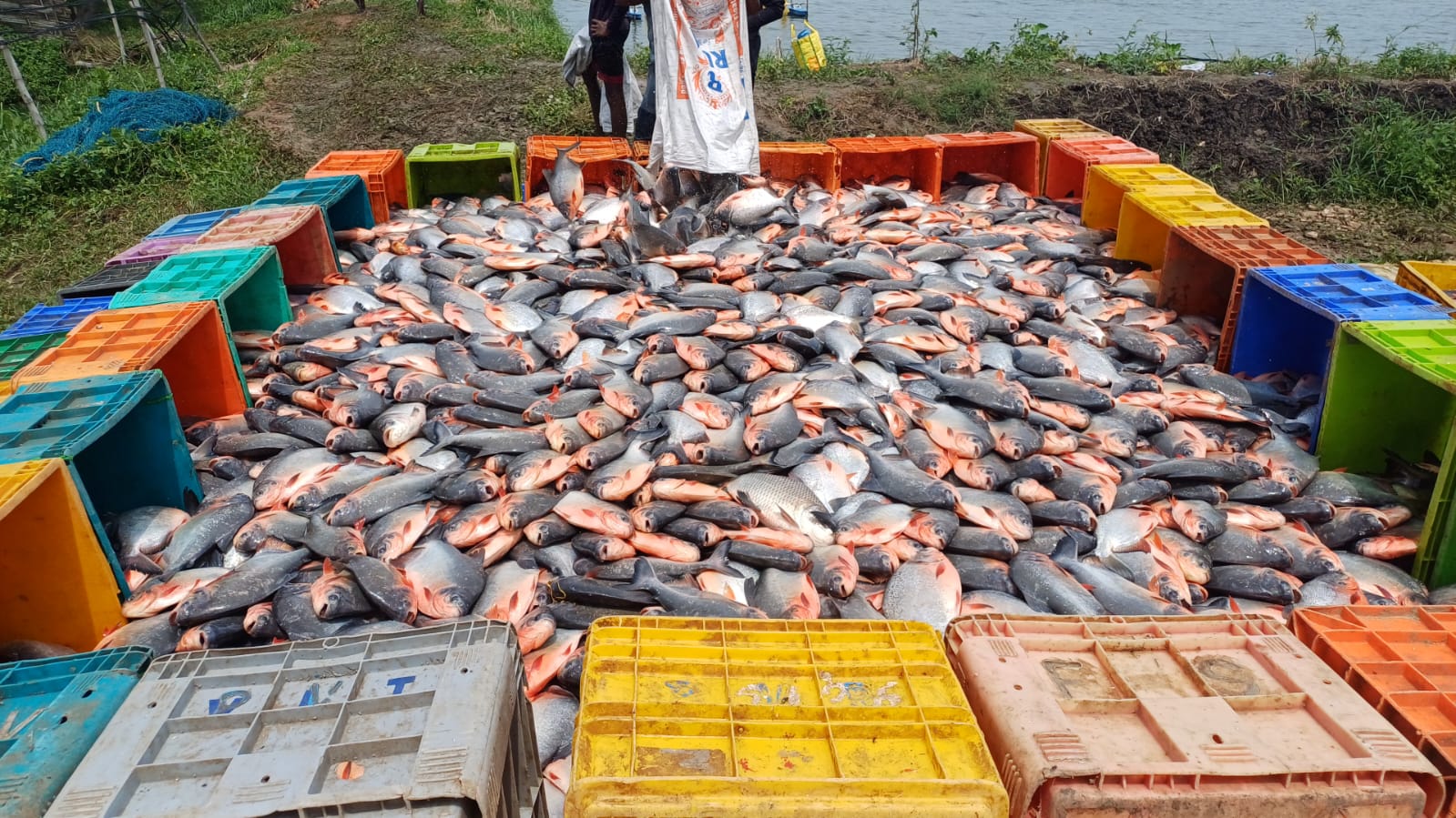 Aquaculture Facility